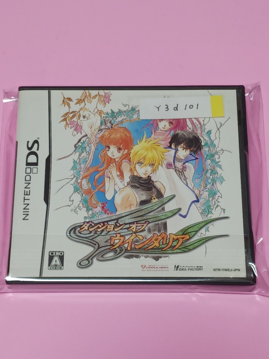 Nintendo DS ダンジョン オブ ウインダリア【管理】Y3d101