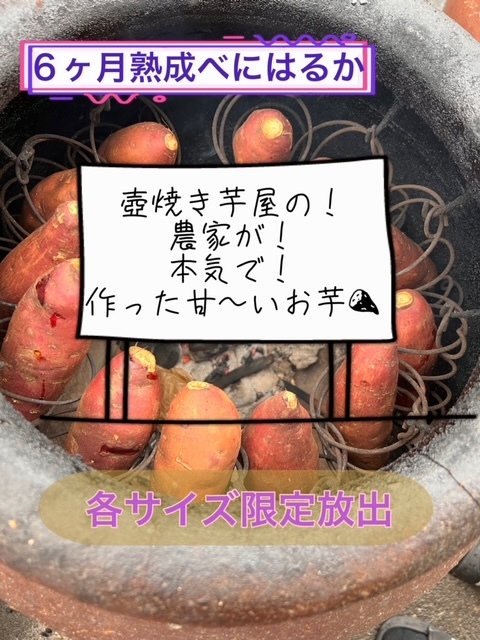 20kg 紅はるか BIGサイズ熟成べにはるか 2L・3Lサイズ 鹿児島県産 2025