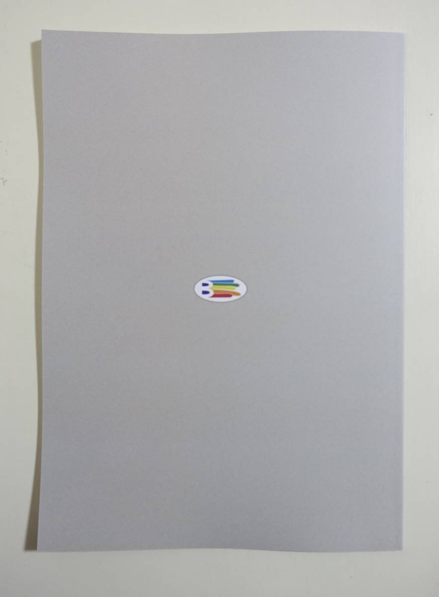 中国前近代の貨幣』 図録 青銅貨幣 古銭 布銭 銭貨 コイン 円銭