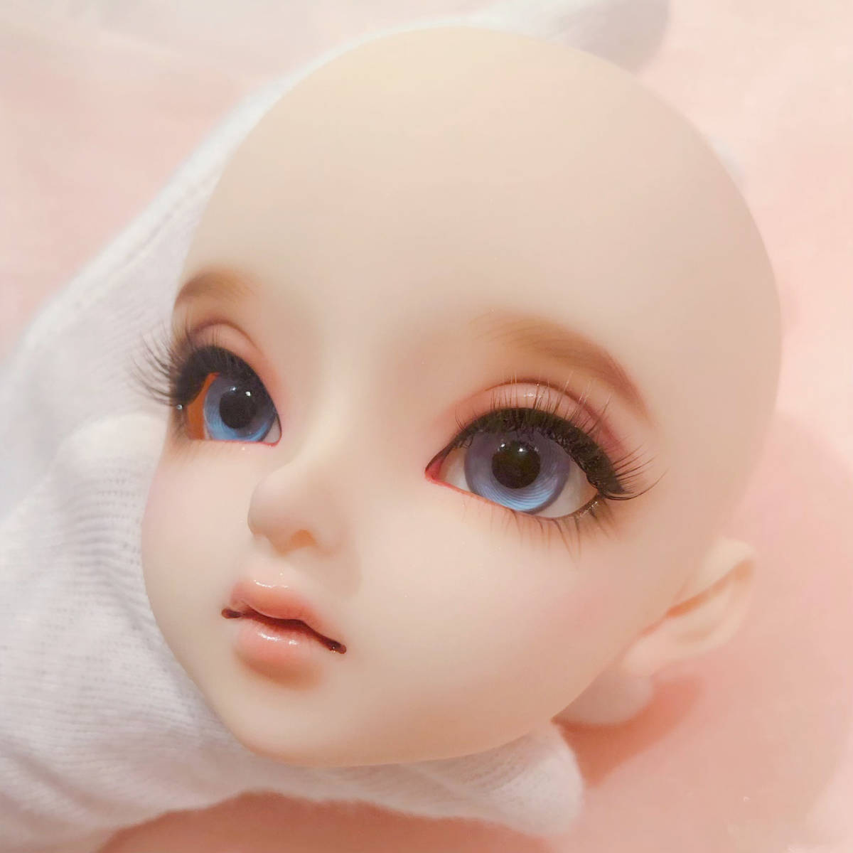 ボークス スーパードルフィー SD メル 本体 3日間限定出品（ボークス 