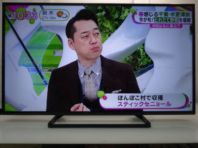 □手渡し可 パナソニック 49インチ液晶TV 2016年製 【公式通販】