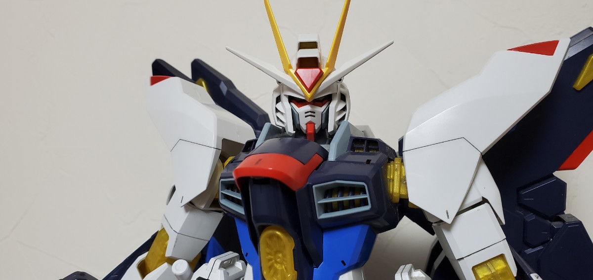 ☆1/60 ストライクフリーダムガンダム ライトニングエディション 100V
