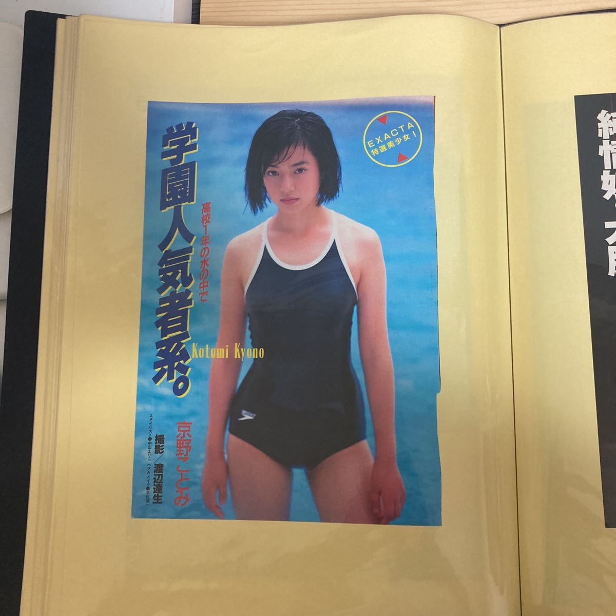 女性 アイドル タレント 女優 雑誌 切り抜き 大量 Wink 菅野美穂 宮崎  