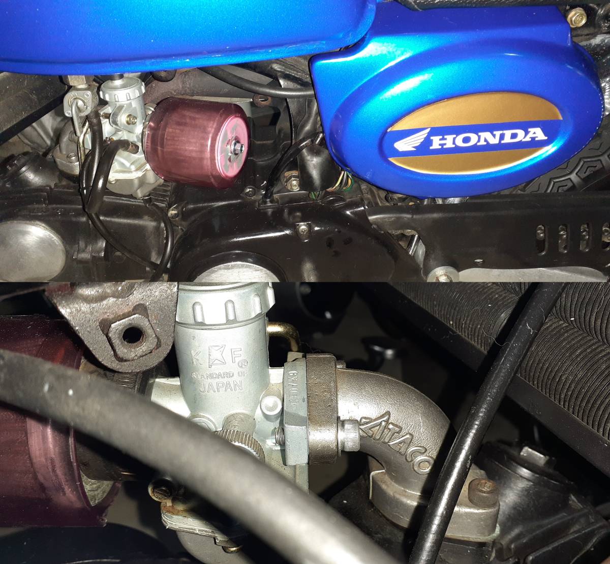 ホンダ モンキー Z50J 75ccボアアップ 6V～12V 程度良好・試乗 