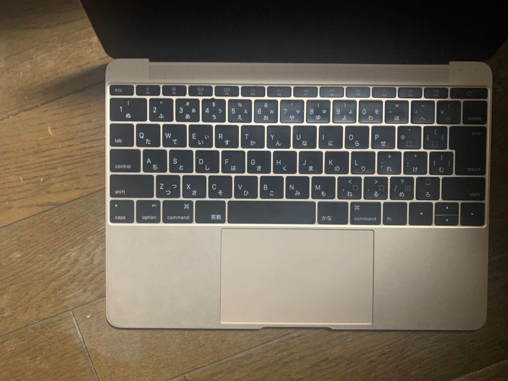 MacBook 2017 12インチ スペースグレー　ジャンク品 美品 ジャンク MacBook 2017 MacBook (12-inch, 2017) スペースグレー