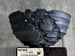 花籠 検)rawlifefactory RLF agave 多肉植物 コーデックス