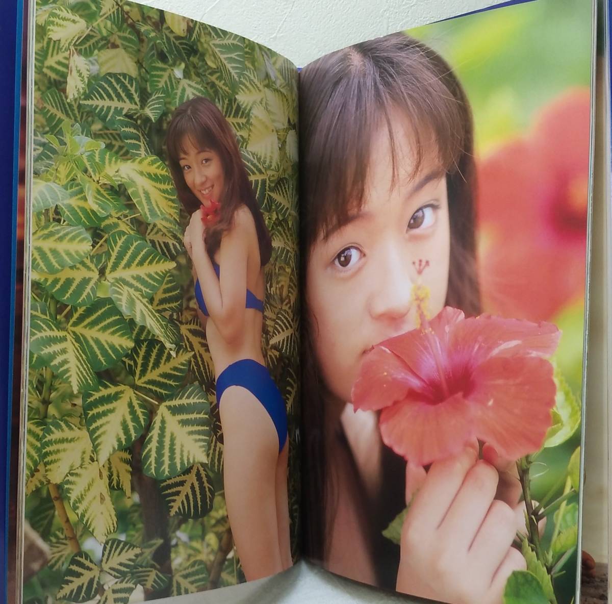 芸 浜崎あゆみ写真集 Terima kasih 近代映画社 根本好伸 撮影 の入札 