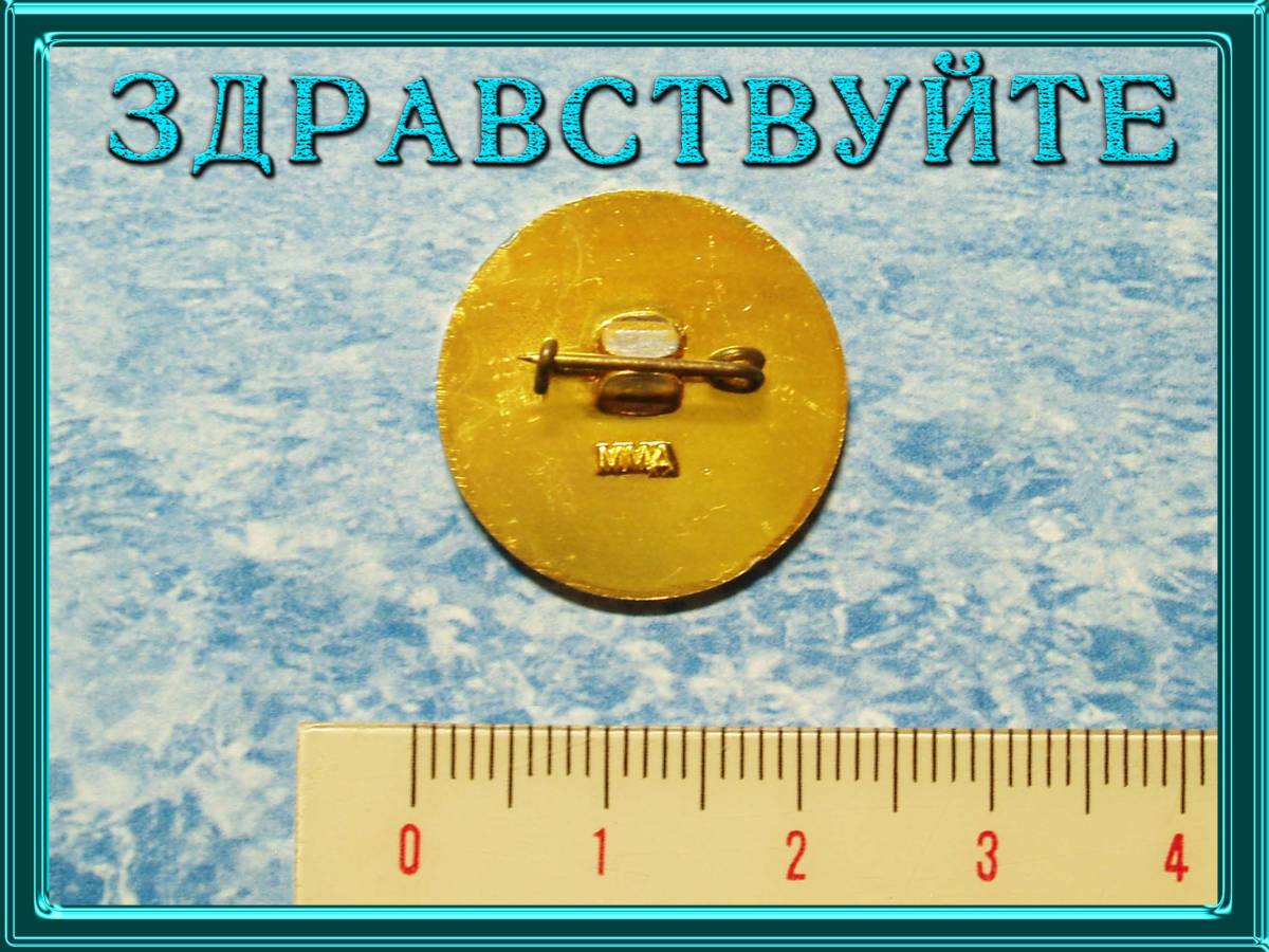 ソ連館 バッジ/ピンズ/USSR/ソビエト連邦 ロシア/expo70/大阪万博/日本