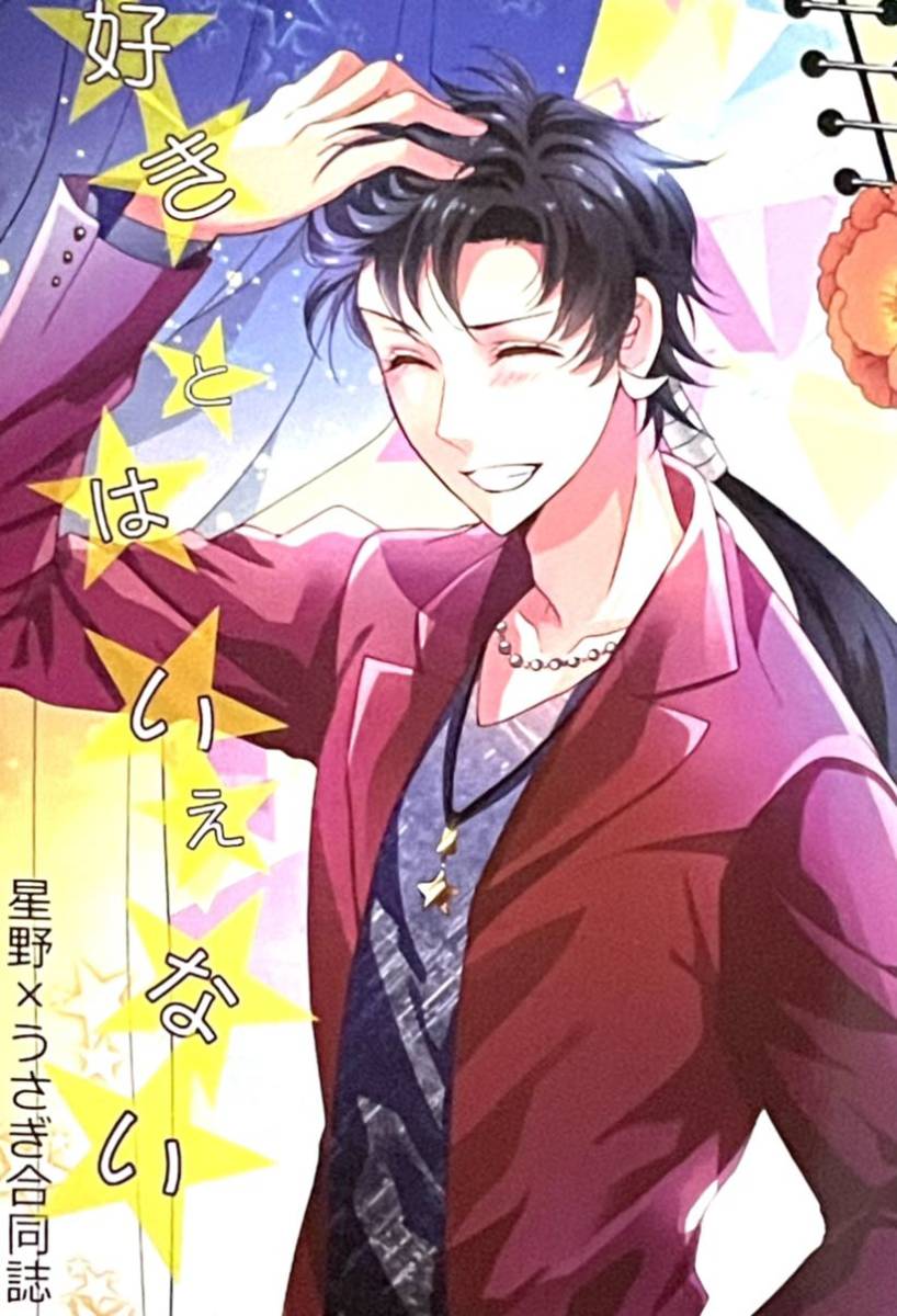 星うさ セーラームーン同人誌 星野光×月野うさぎ 公式通販 同人誌 LOVE 