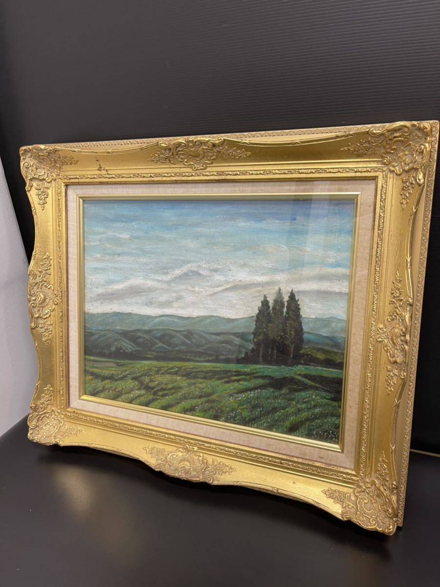 安井曽太郎 油絵「風景」額装 F6号 直筆 安井曾太郎 (自然、風景画 