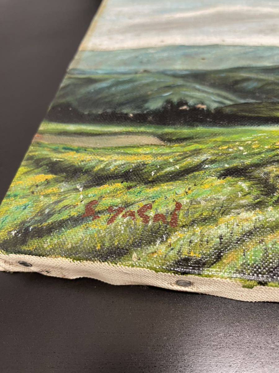 絵画 安井曽太郎 春の湖 油彩 油絵 風景画 絵画 安井曽太郎 春の湖