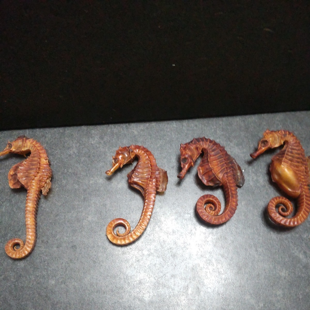 【新品】天然珊瑚サンゴ 剥製 タツノオトシゴ 貝殻 ヒトデ 2kg以上 新品天然珊瑚サンゴ 剥製 タツノオトシゴ 貝殻 ヒトデ 2kg以上 天然