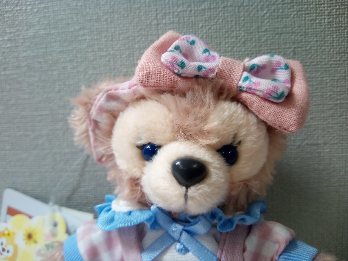 テイスティーサマーサプライズ お顔厳選 ぬいぐるみストラップ 5体