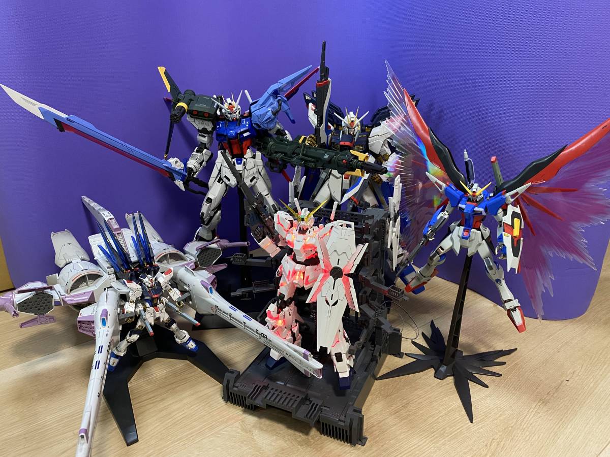 ガンダム プラモデル ジャンク品 ガンプラ PGMGHG ストフリ ストライク 