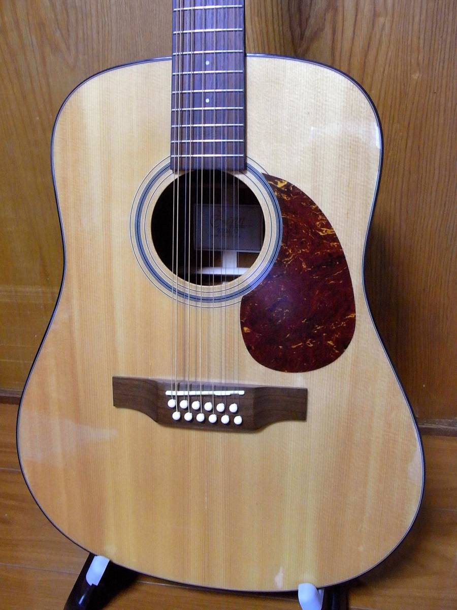 ZENN・12弦アコースティックギター/ZD24-12(本体)｜売買された 