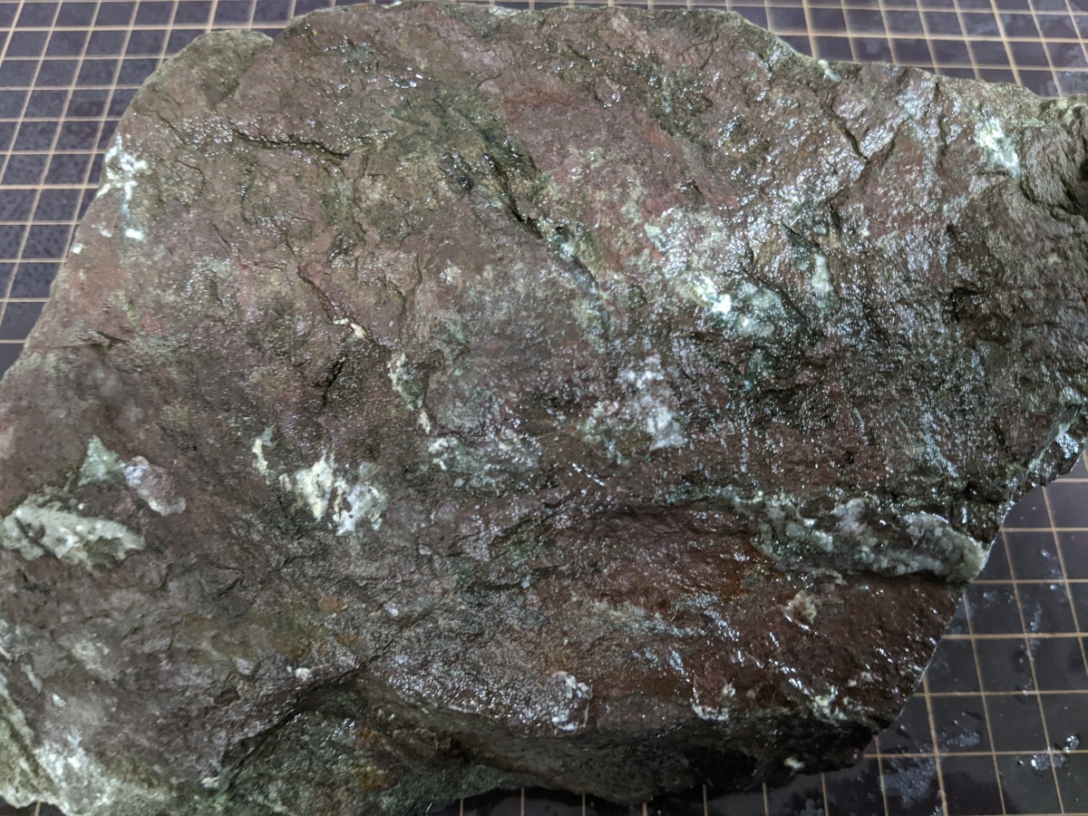 魚石本物 ADA 万天石 本物です No8 5つ合計8 6kg前後 manten stone 