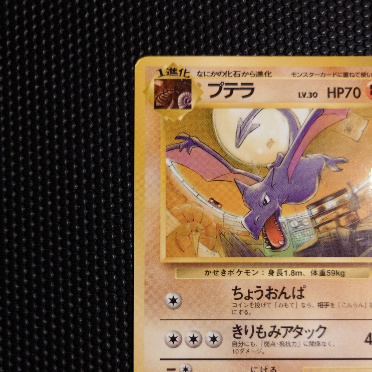プテラ ◇ ポケモンカード PMCG 拡張シート 第2弾 No.142 LV.30 HP70