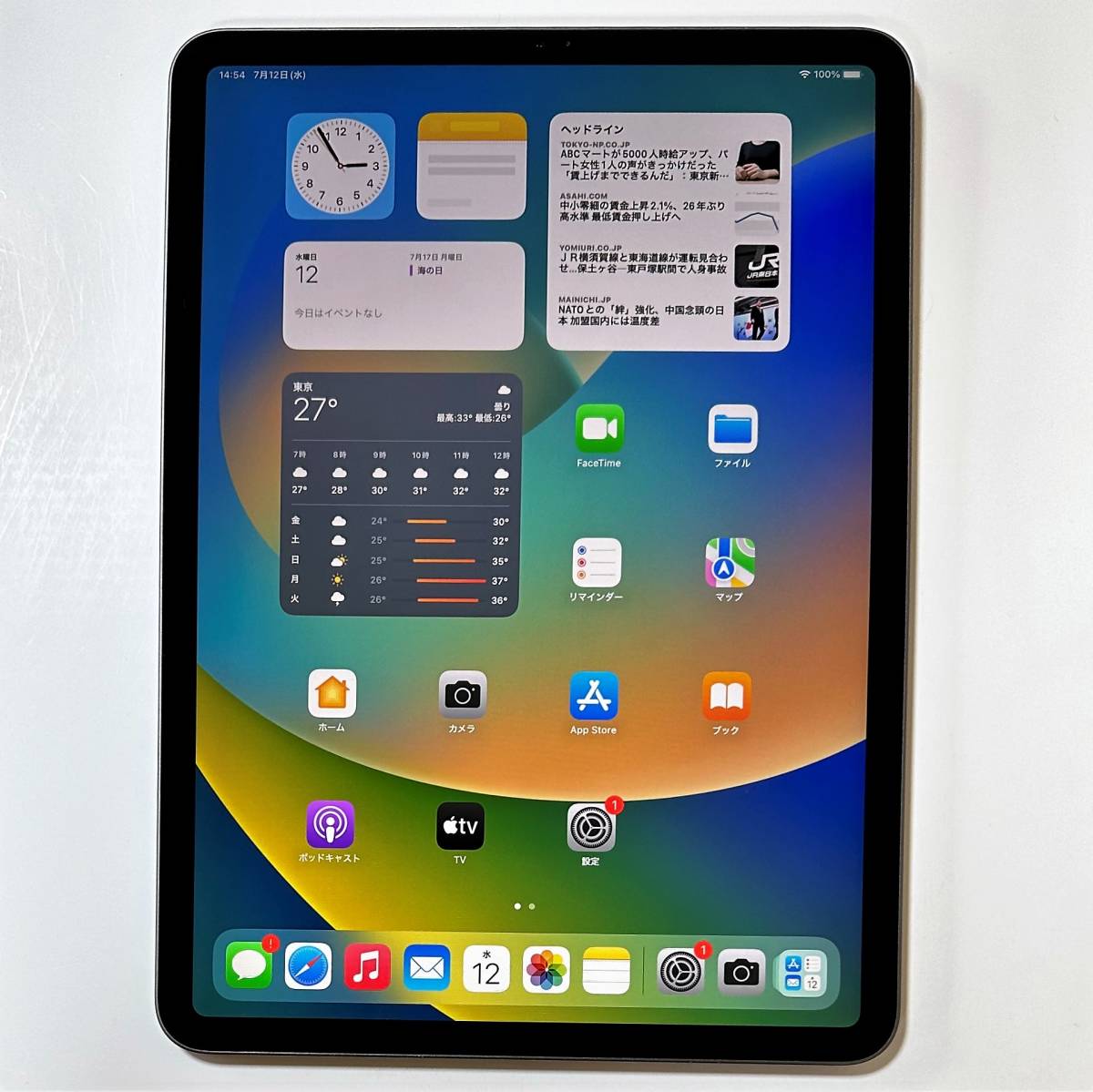 お得，セール】 [ジャンク] Wi-Fiモデル Apple iPad Pro 12.9inch(初代