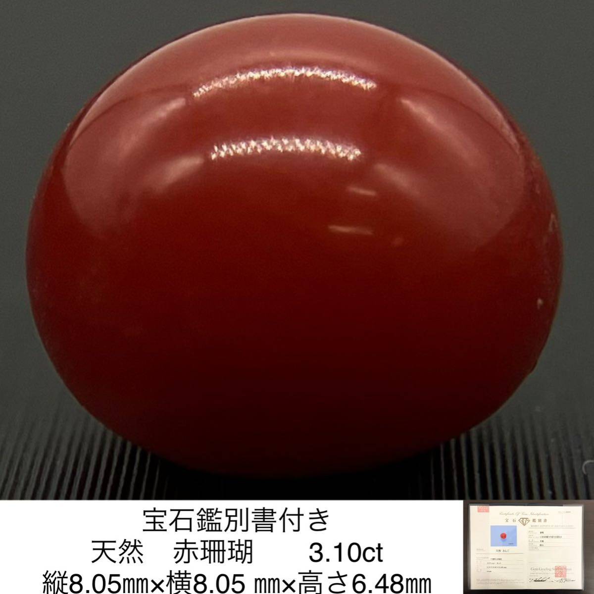 宝石鑑別書付き 天然　赤珊瑚　（　さんご　サンゴ　） 3.10ct 縦8.05㎜×横8.05 ㎜×高さ6.48㎜ 2179S