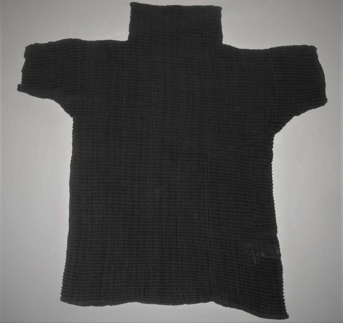 ISSEY MIYAKE イッセイミヤケ 半袖カットソー PLEATS PLEASE プリーツ