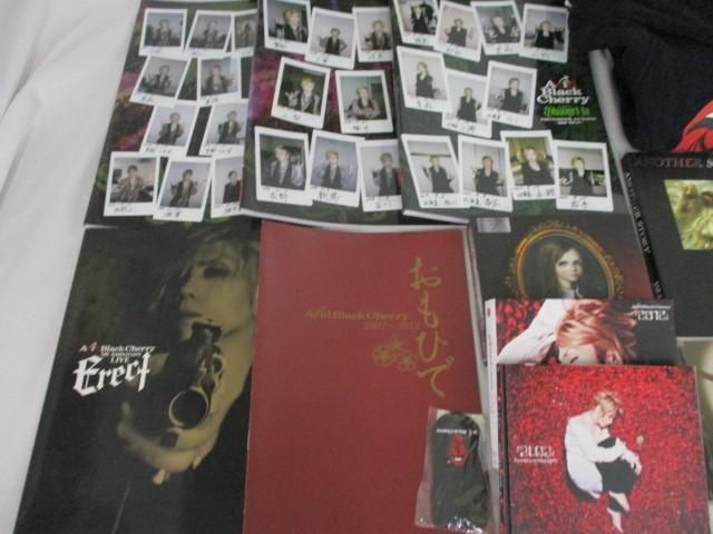 同梱可】中古品 アーティスト Acid Black Cherry 2012 Lエル CD＆DVD