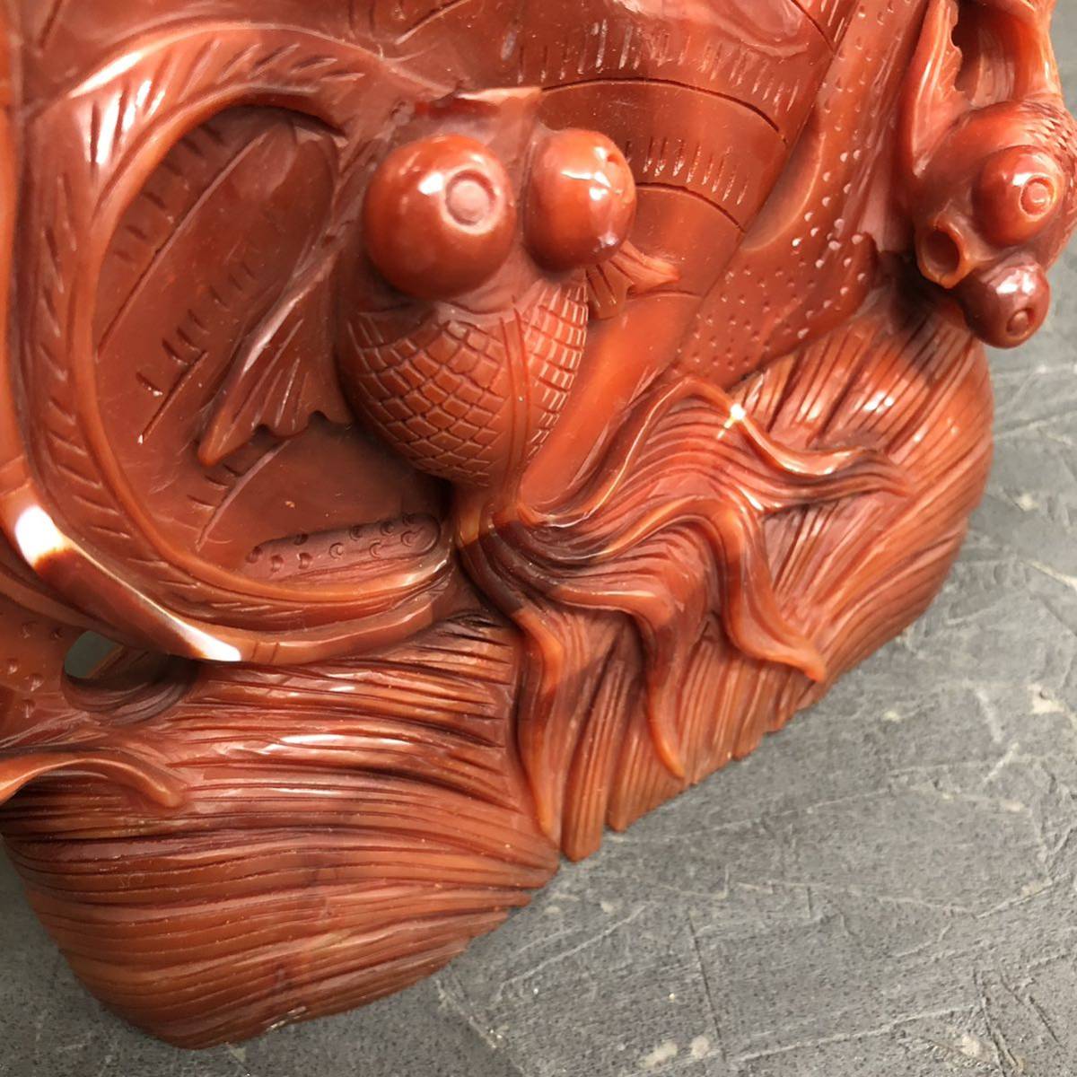 Yahoo!オークション -「メノウ 金魚」の落札相場・落札価格