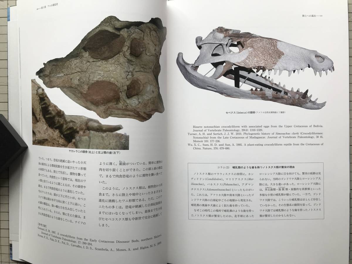 油彩画 生田明 「アマルフィ海岸」 油絵 額入り 風景画 真筆 肉筆画