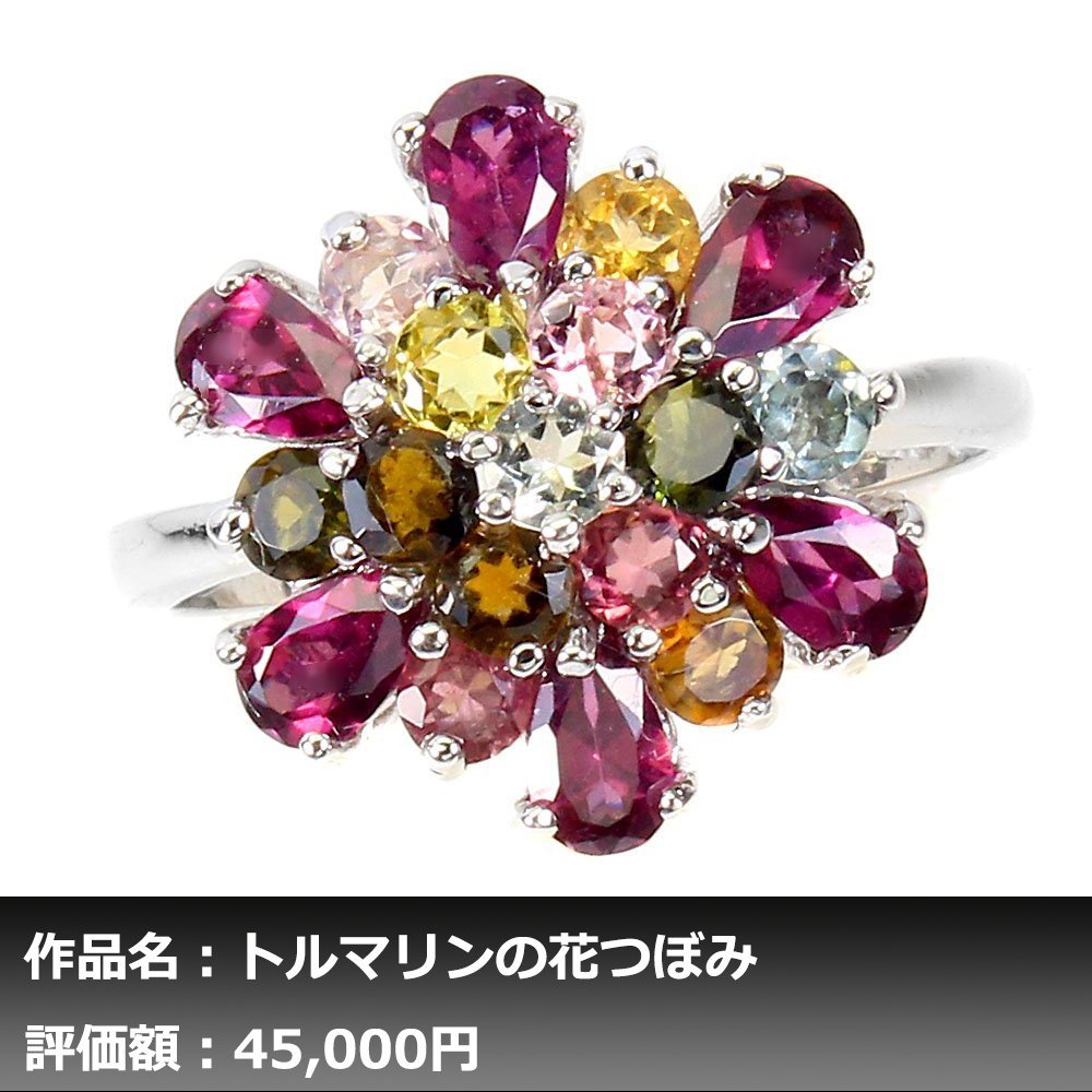 【1円新品】イケゾエガレ｜3.00ct 天然トルマリン&ガーネット K14WG仕上リング 17号｜作家モノ｜本物保証｜NGL鑑別対応