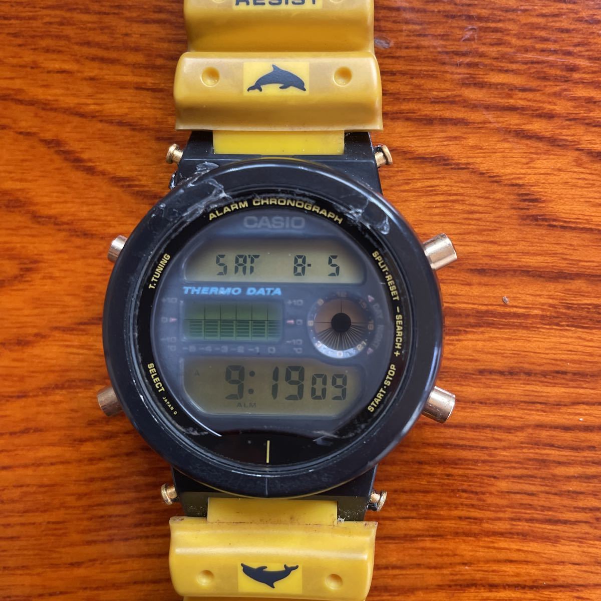 G-SHOCK 第4回 イルクジ 裏蓋のみ 0 イルカクジラの通販 g－shock