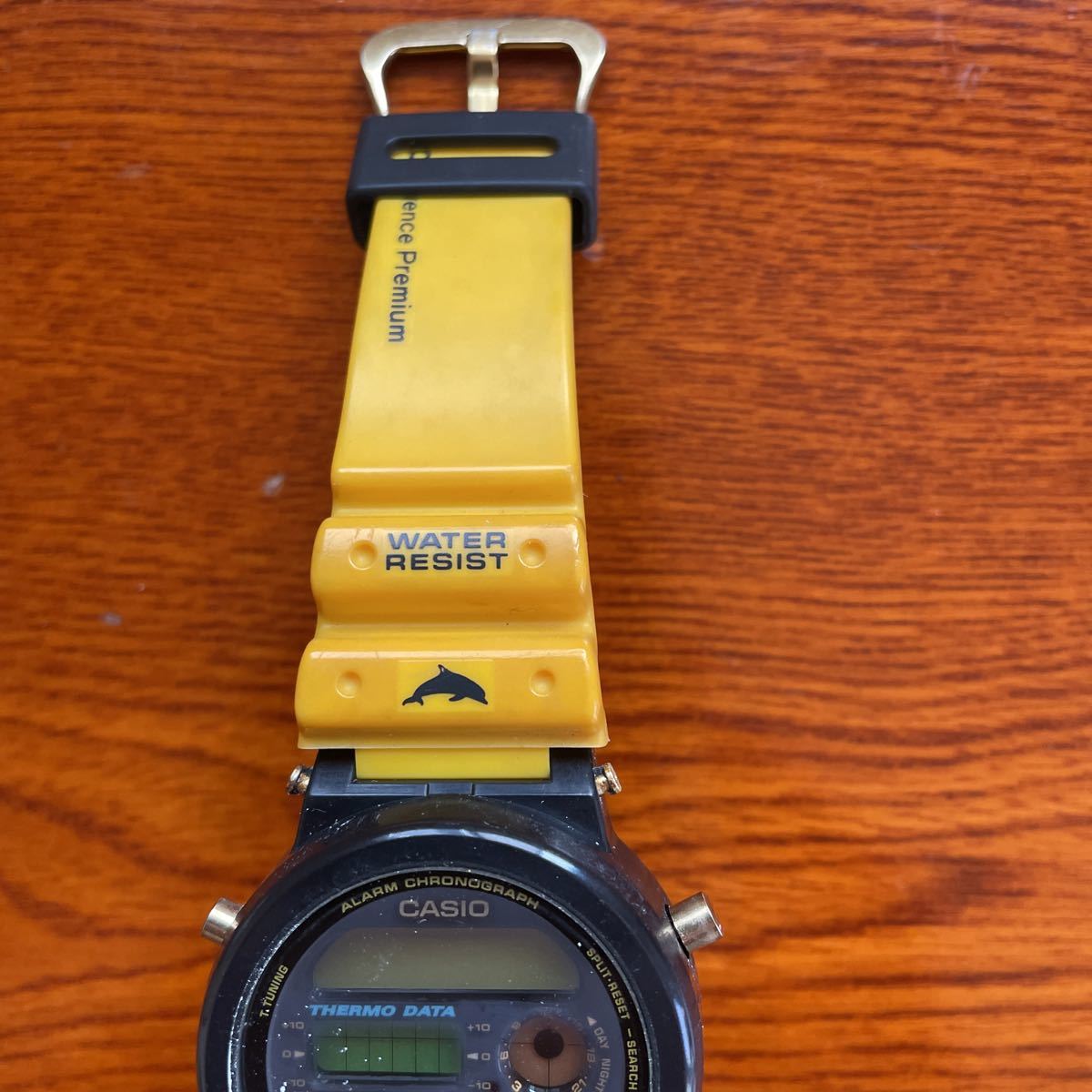 G-SHOCK 第4回 イルクジ 裏蓋のみ 0 イルカクジラの通販 g－shock
