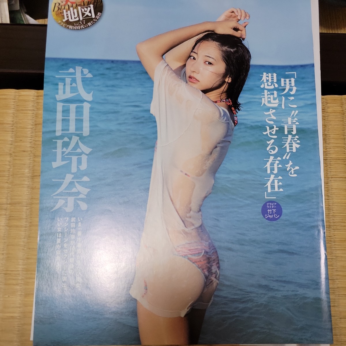 武田玲奈 切り抜き5ページ(タレント)｜売買されたオークション情報  