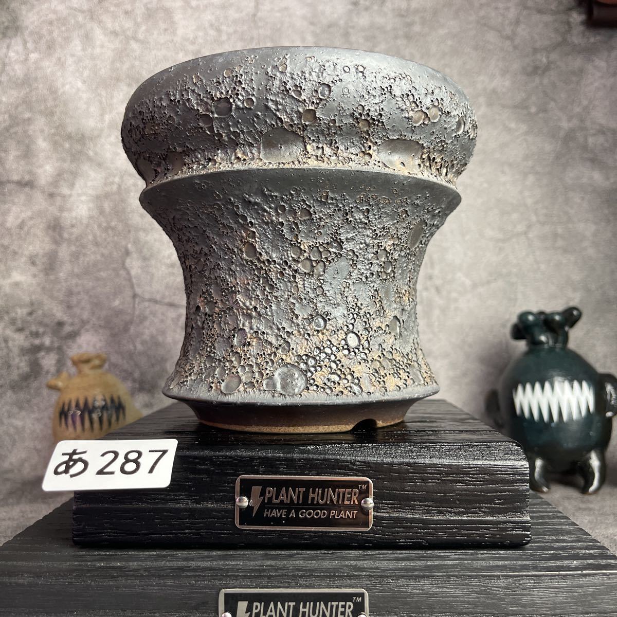 あ287 LLサイズ 植木鉢 陶器 検（塊根植物 アガベ パキプス invisible ink raw life factory SRL 信楽焼 伝市鉢カタチ製作所 グラキリス)