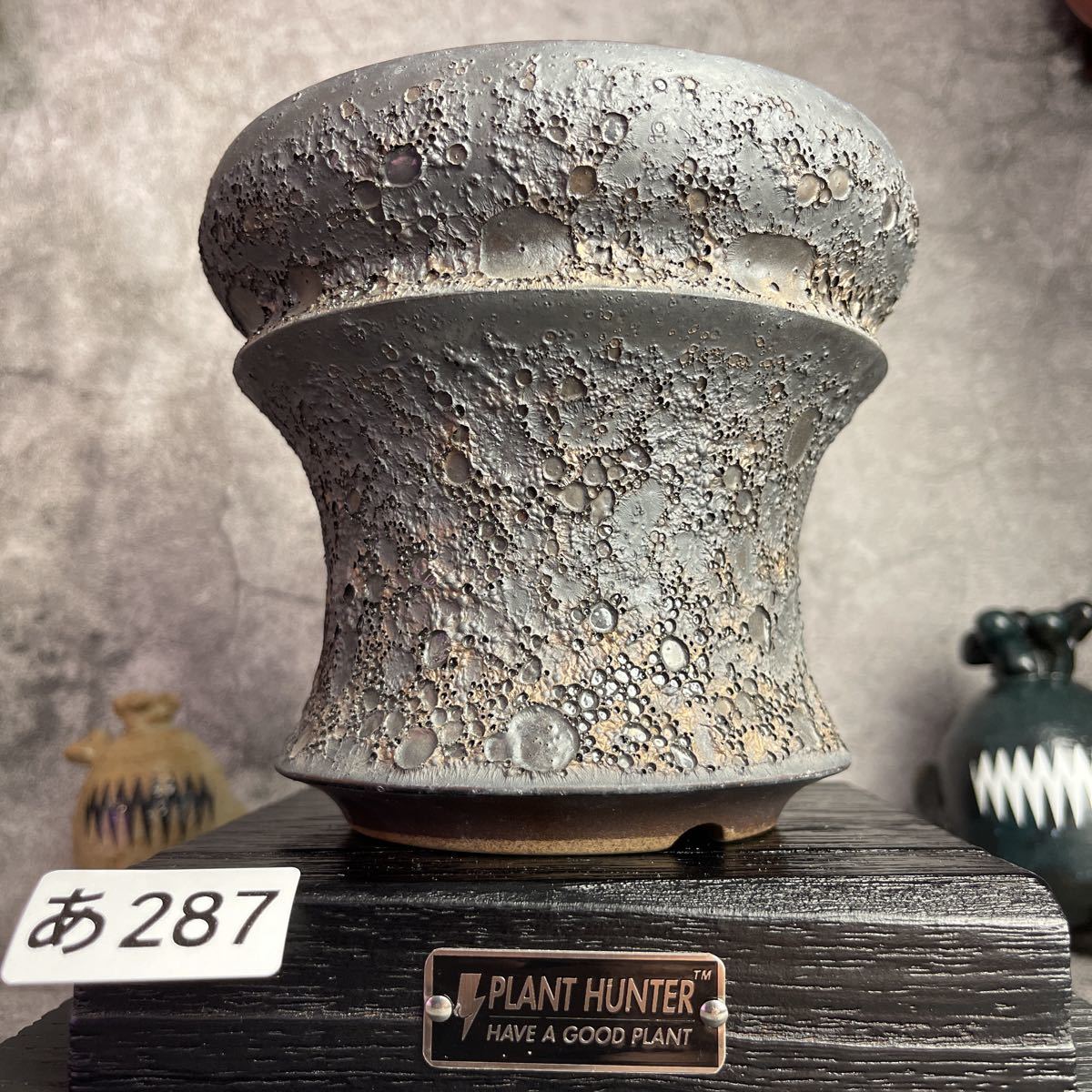 植木鉢 あ287 陶器 検（塊根植物 HAND Made パキプス アガベ LLサイズ 