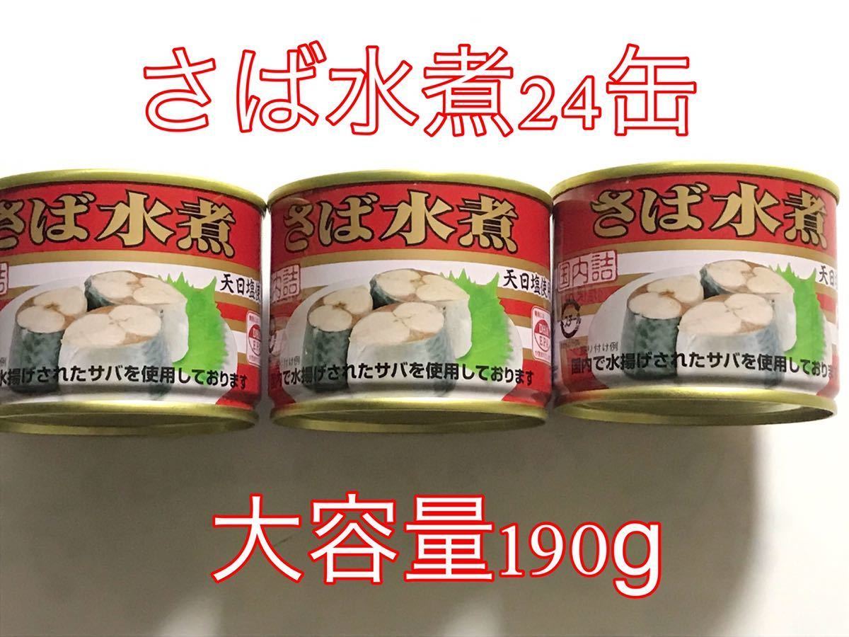 24缶セット うす塩味 チューリップ（TULIP）ポークランチョンミート