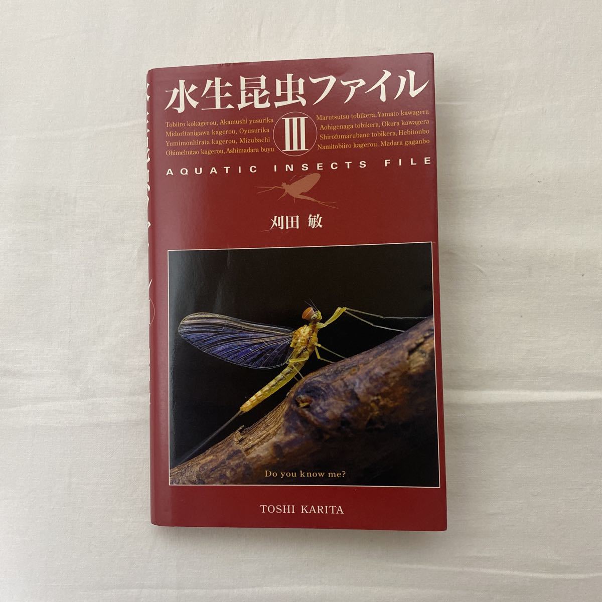 水生昆虫ファイル Ⅲ 古本　刈田敏　つり人社
