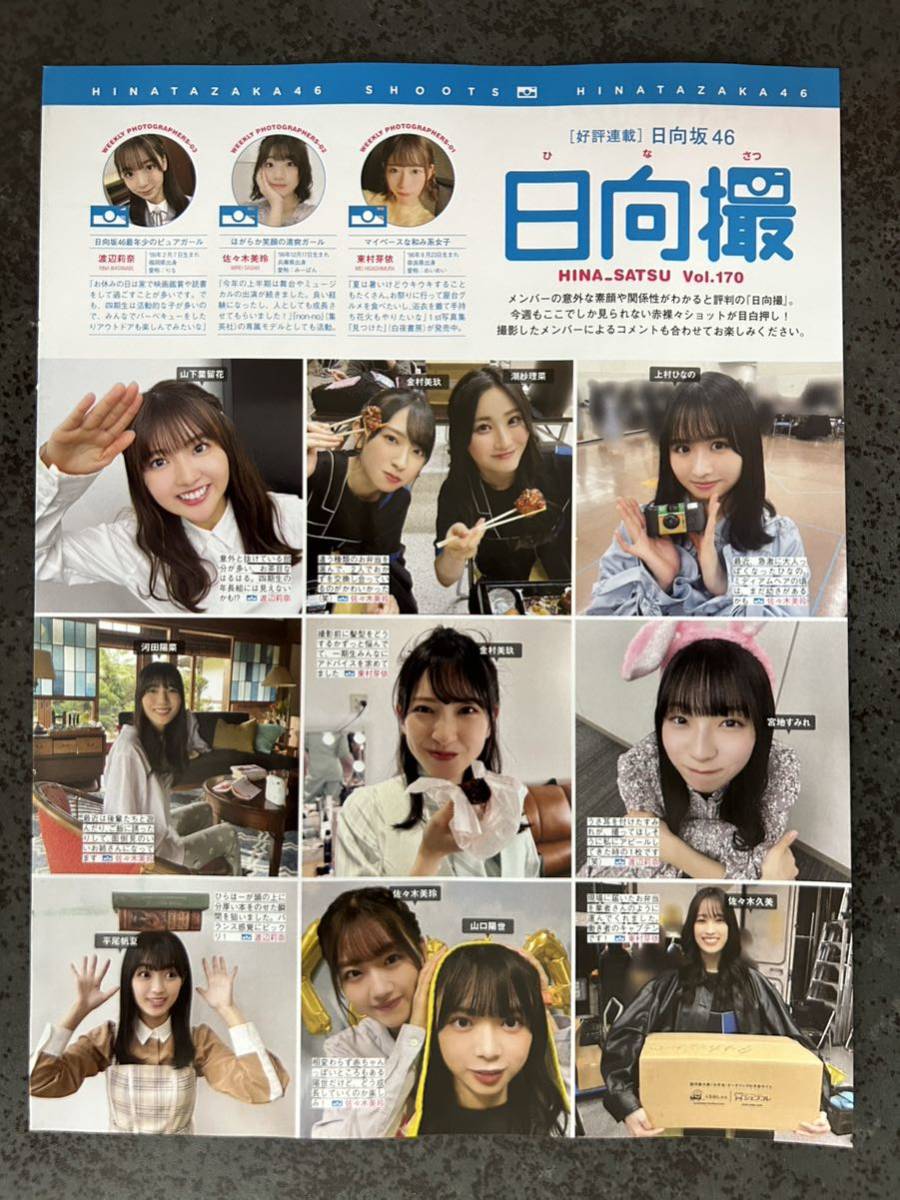 切り抜き 日向撮 Vol.170 2Pフライデー(FRIDAY)2023年9月8日 小坂菜緒