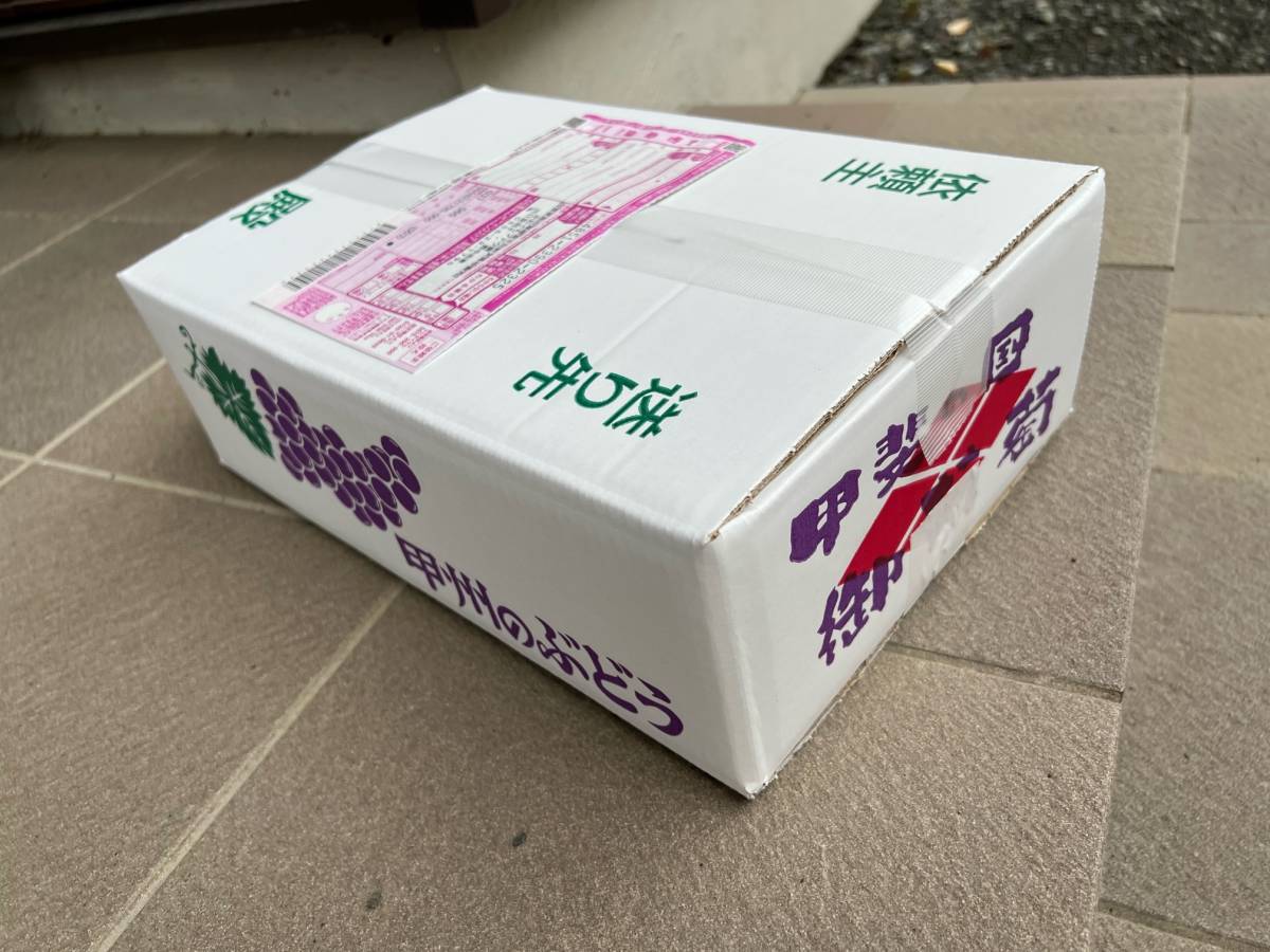 稀少品種】ヌーベルローズ 2kg 種なし 皮ごと 赤系シャインマスカット