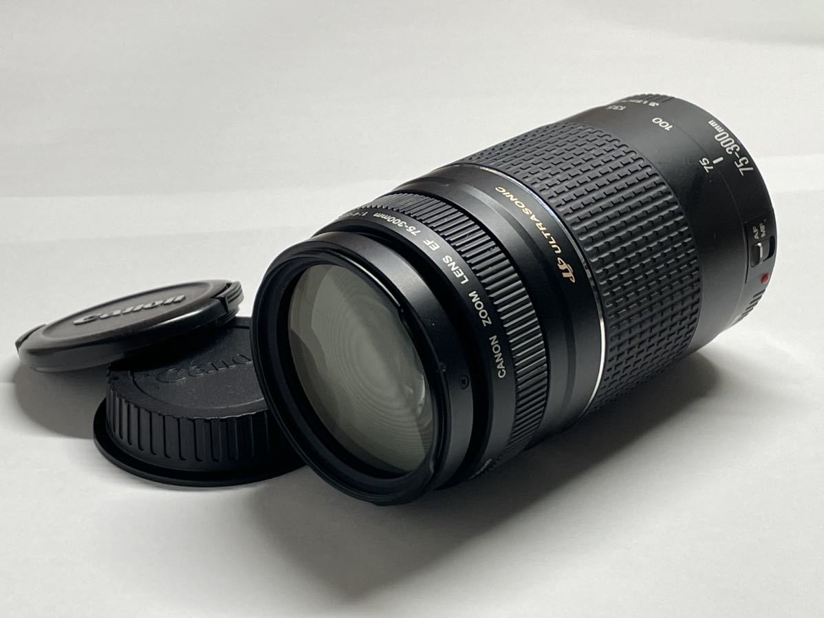 Canon zoom LENS EF 75-300mm f4-5.6 III USM
