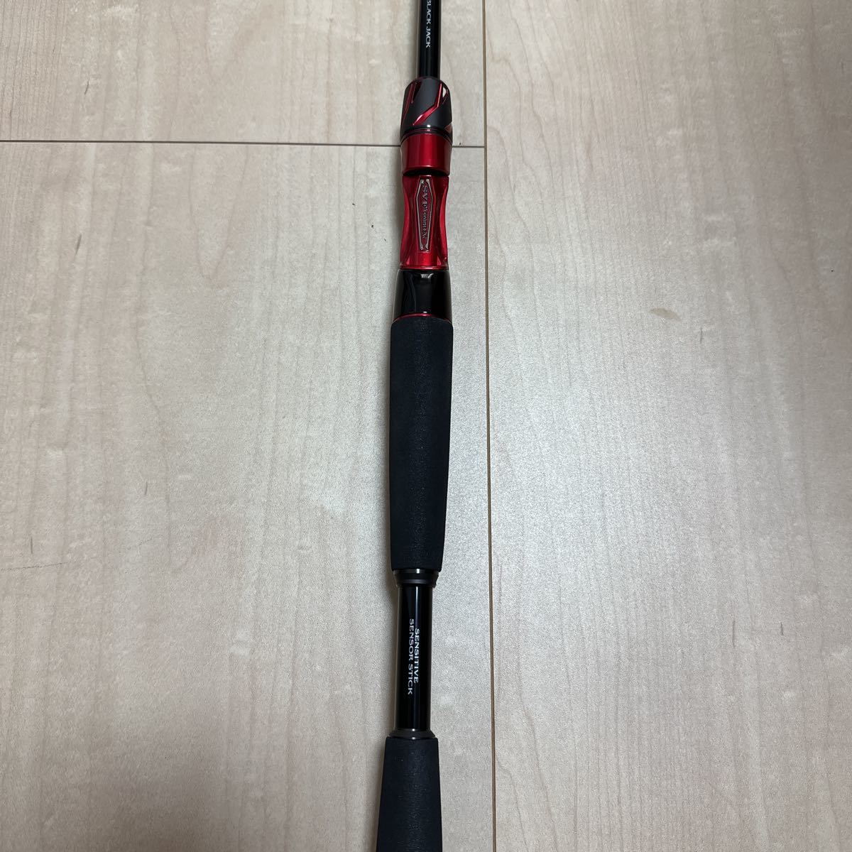 DAIWA スティーズ ベイトキャスティングモデル ブラックジャック
