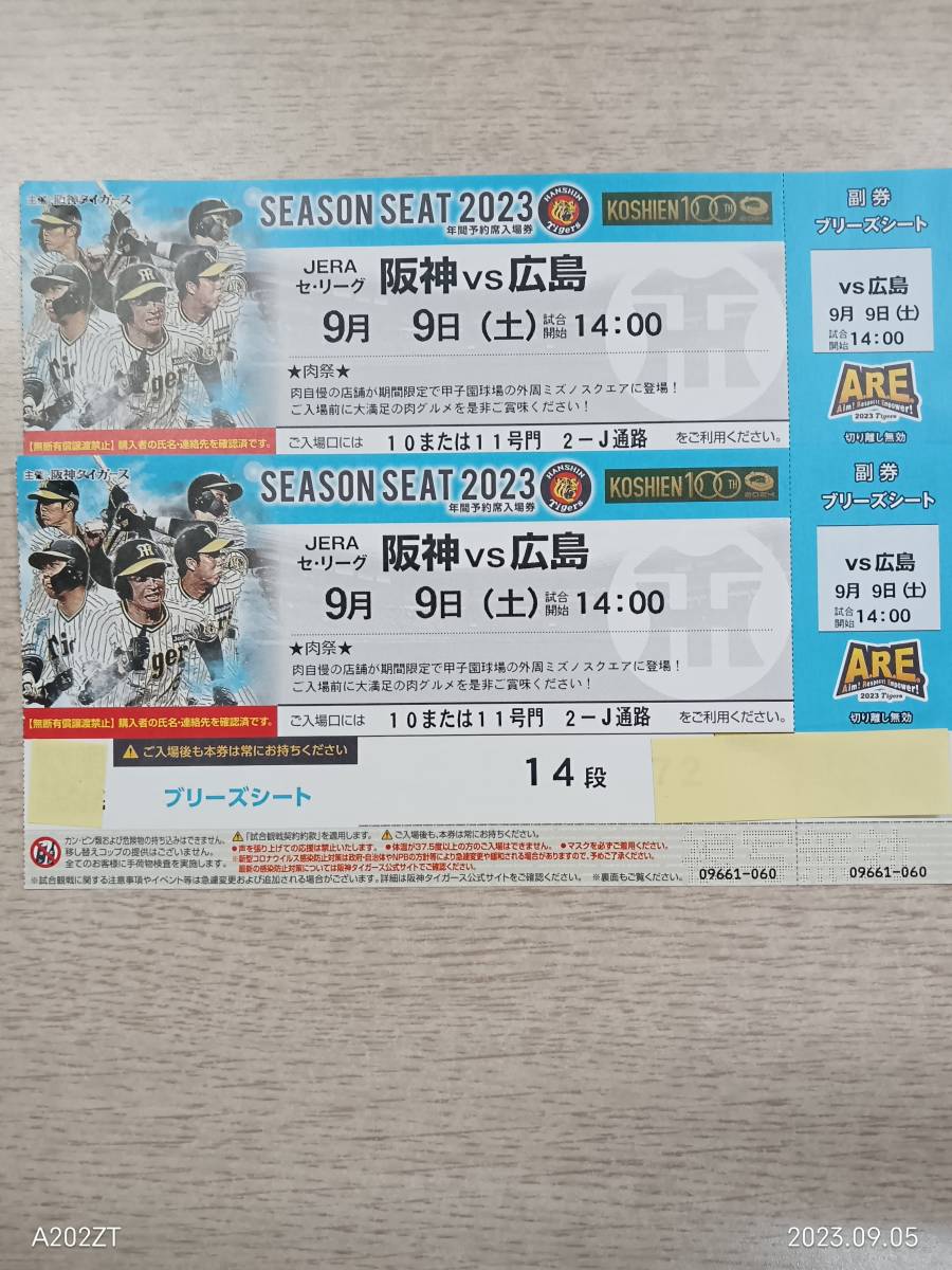 阪神vs中日 9月3日 グリーンシート 通路側含む2席 持ち帰れる