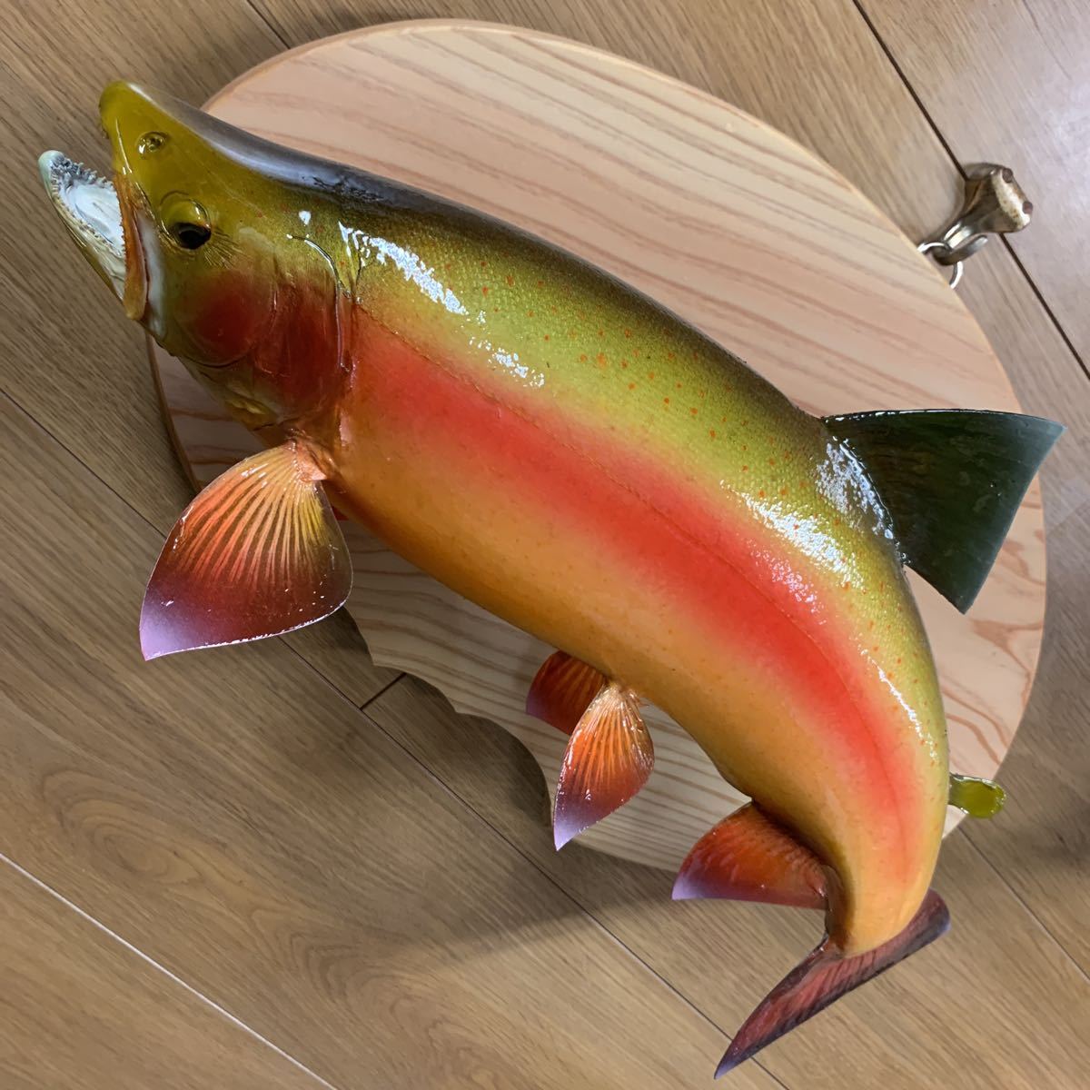 魚類剥製エフクラフト　アルビノレインボー雄44センチエリア_3