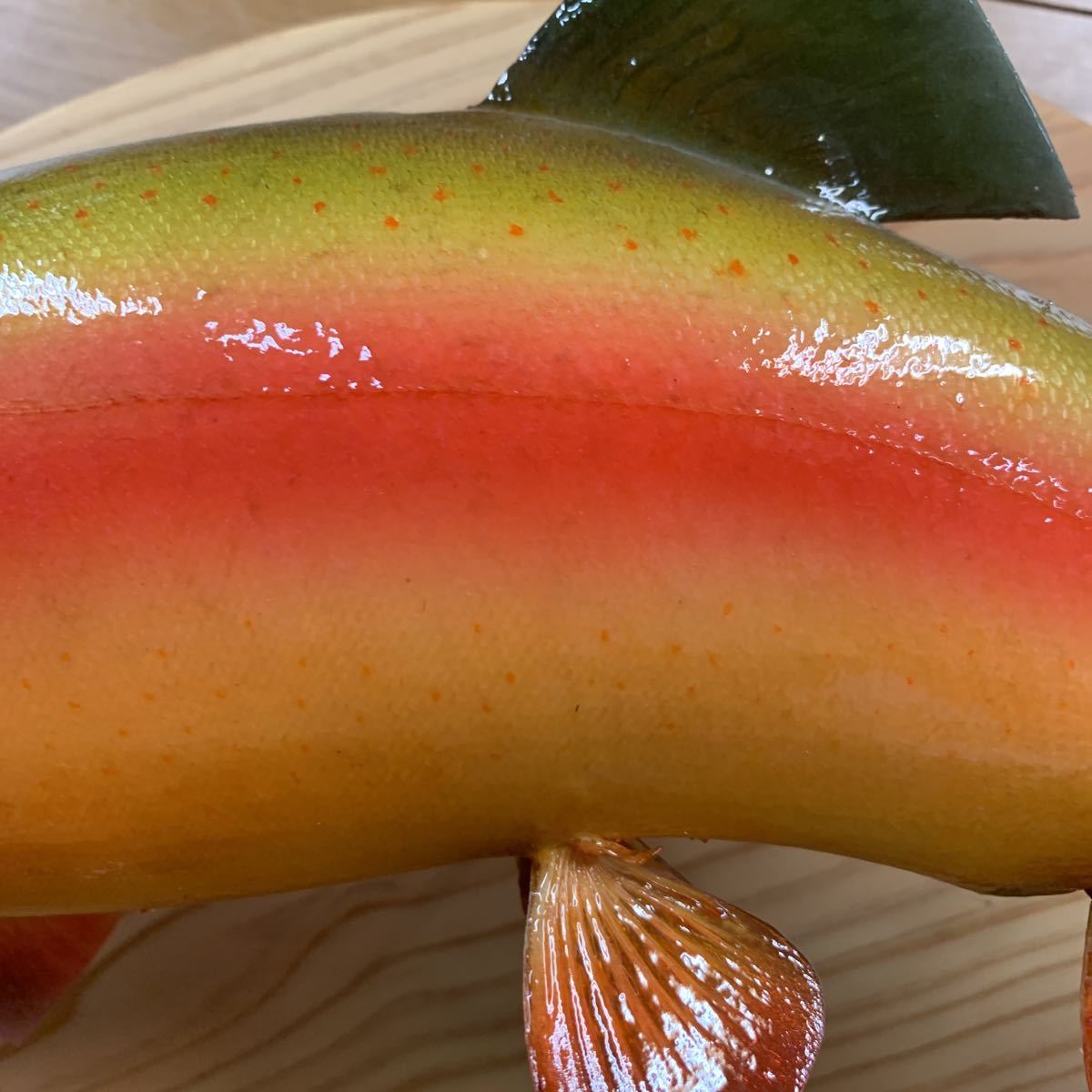 魚類剥製エフクラフト　アルビノレインボー雄44センチエリア_4