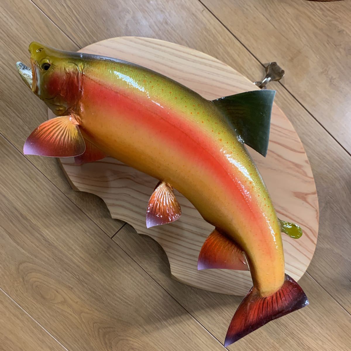 魚類剥製エフクラフト　アルビノレインボー雄44センチエリア_5