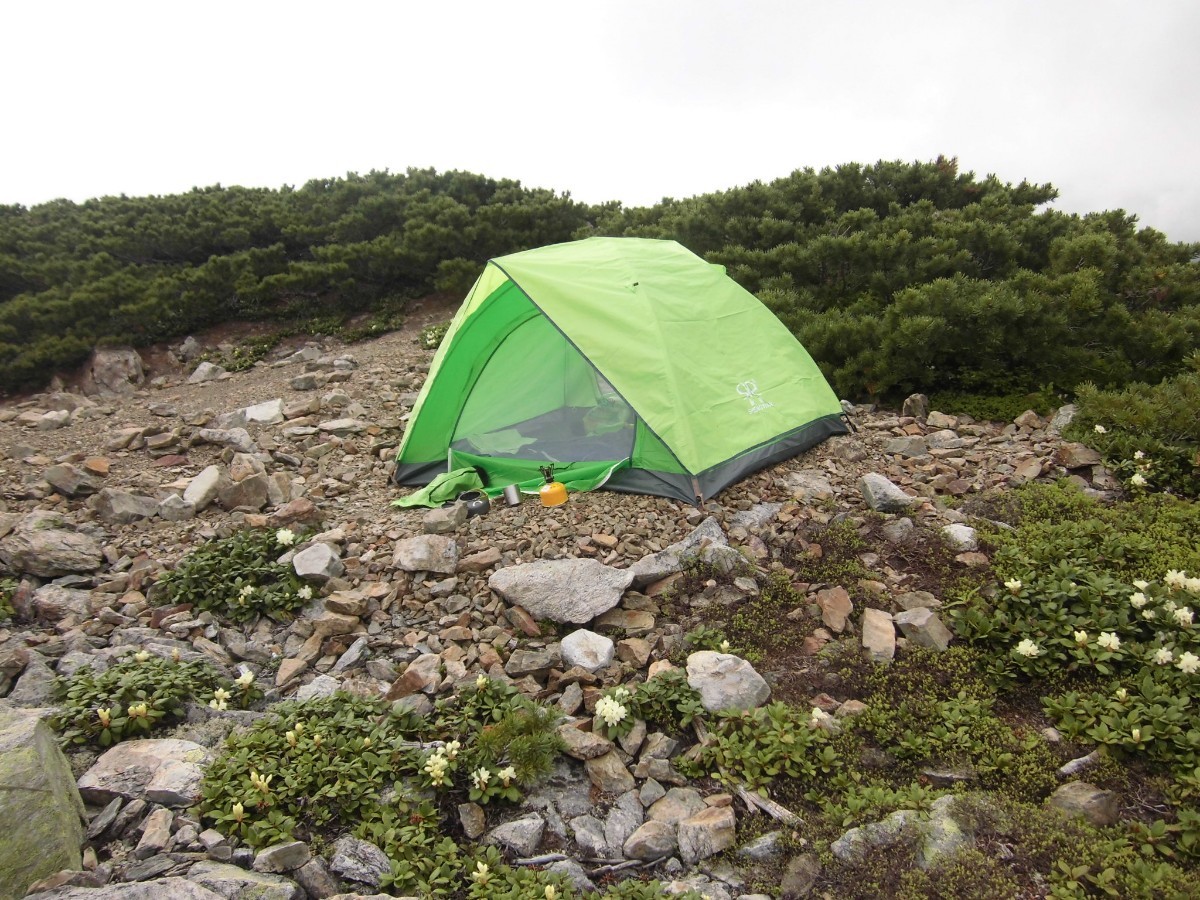 スノーピーク ライトタープポンタL シールド Pro レア限定品廃盤品