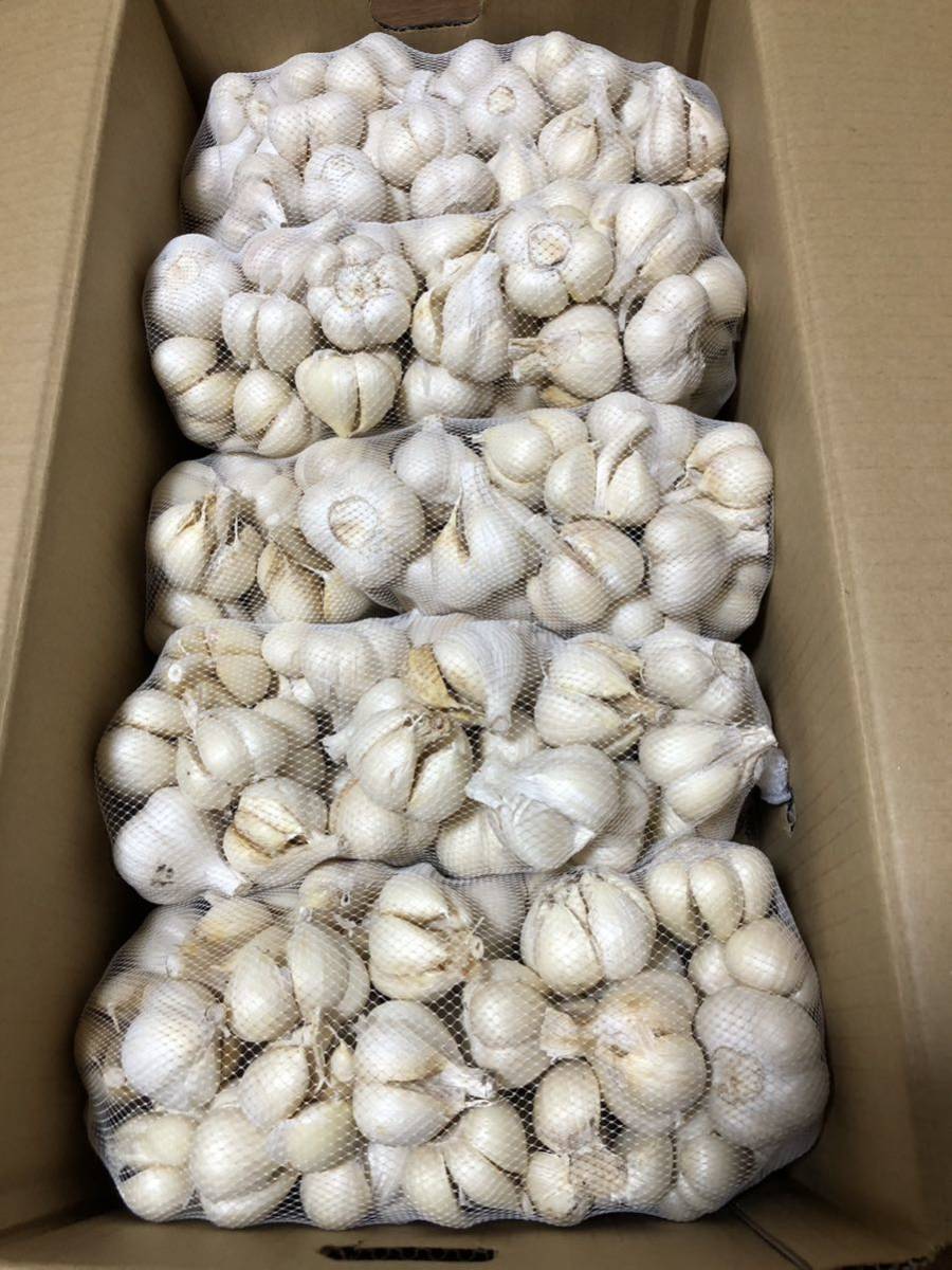 青森県産 にんにく 福地ホワイト六片 20kg 青森県産 にんにく 福地