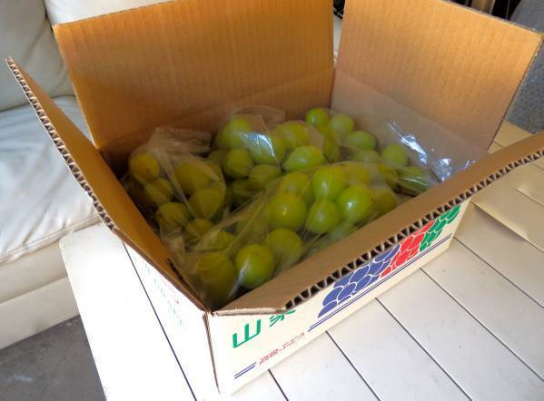 糖度18～20度☆ジャンク☆山梨県産　シャインマスカット 2kg