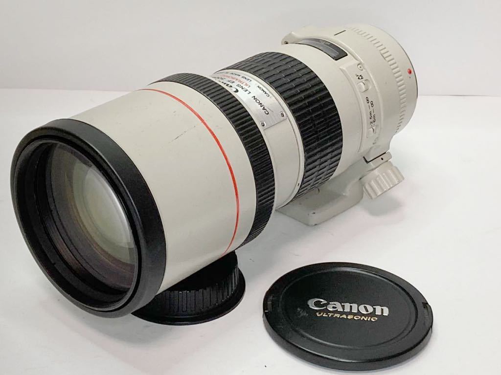 Canon キャノン 単焦点望遠レンズ EF300mm F4 L USM フルサイズ対応