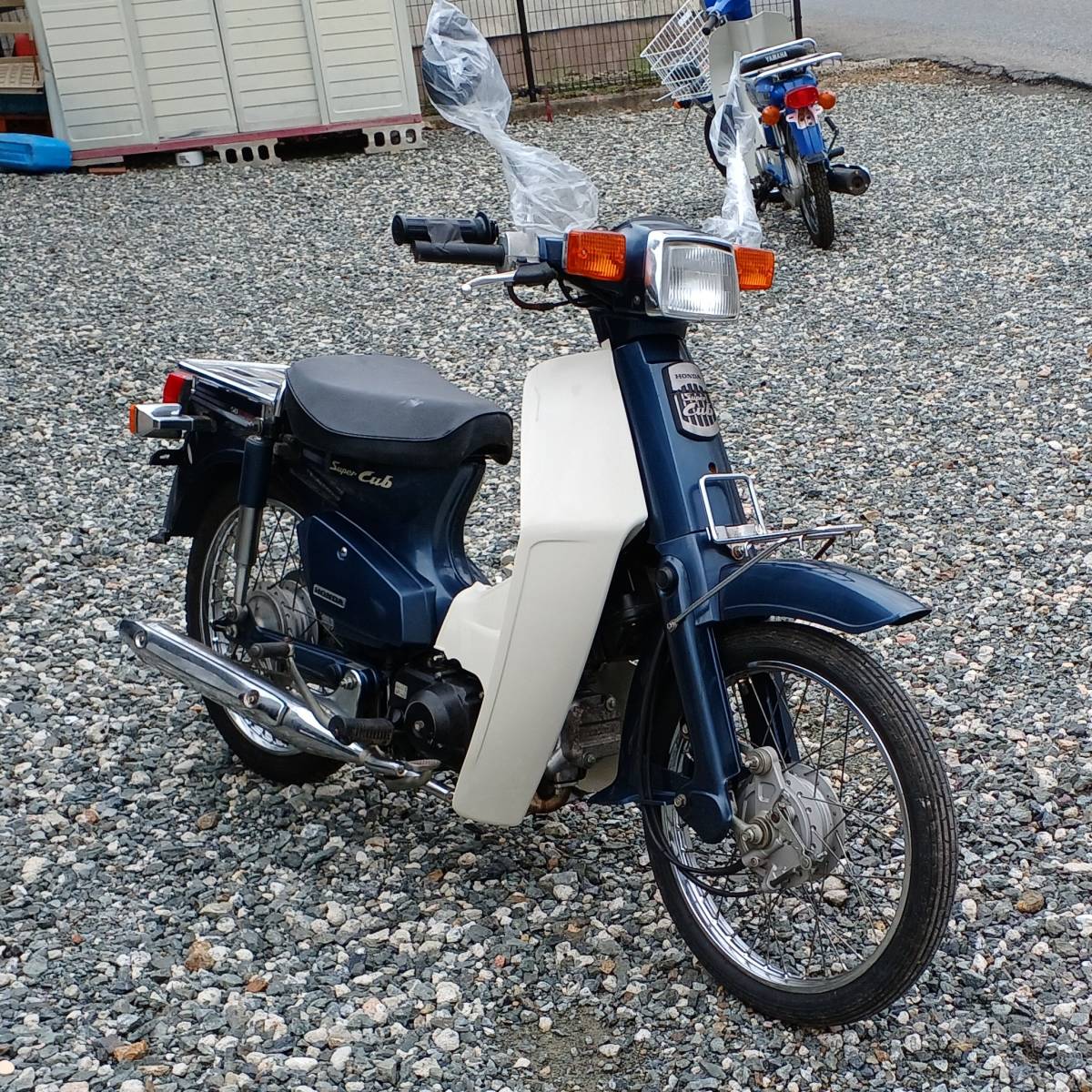 j1088364451.5