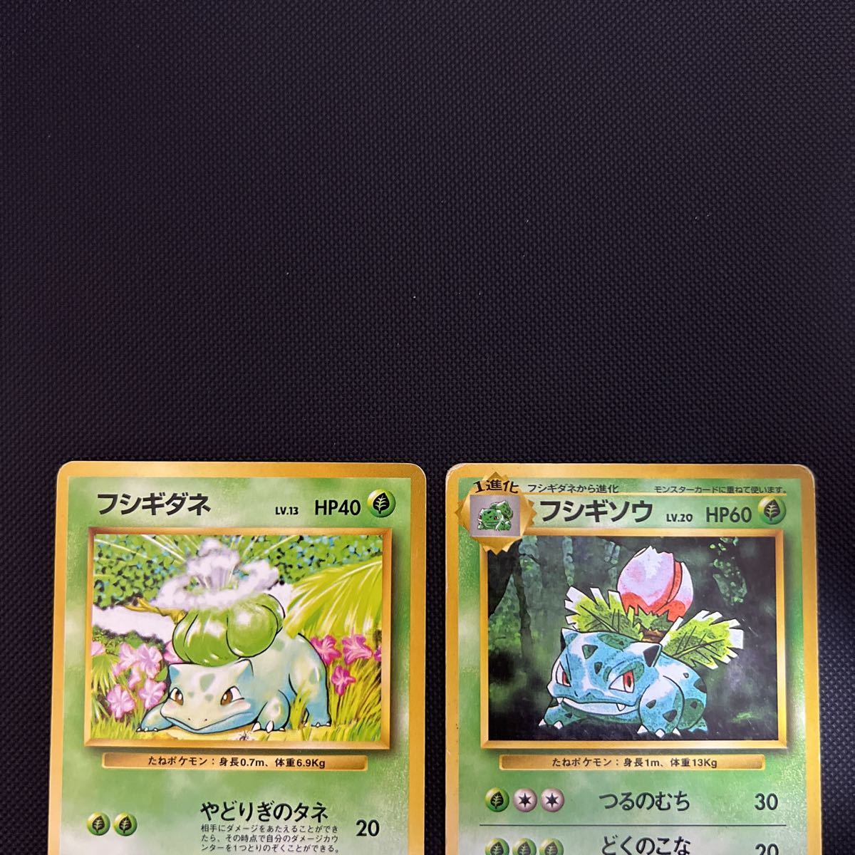 ポケモンカード□フシギダネ フシギソウ□初版 マークなし□第1弾 旧裏