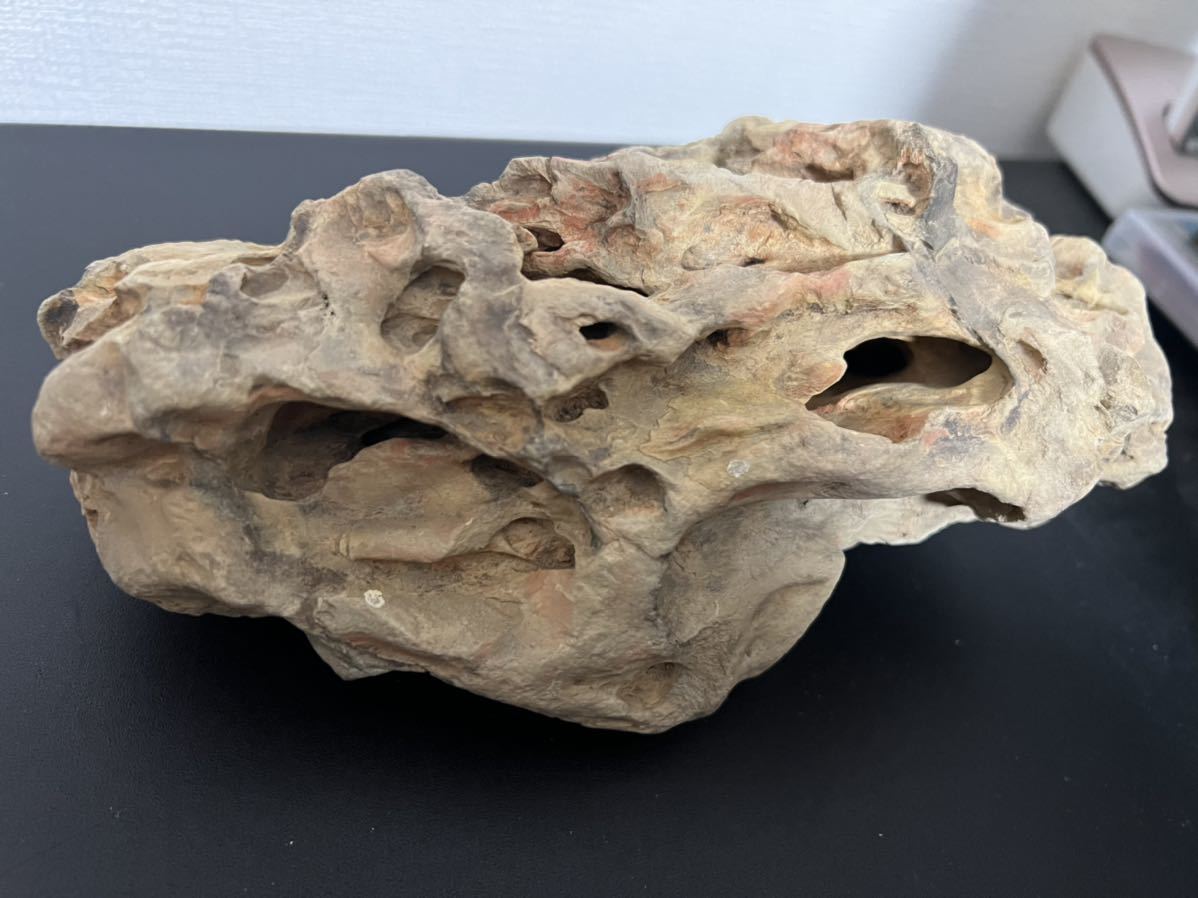 原石　石灰岩？コーラル？鑑賞石。